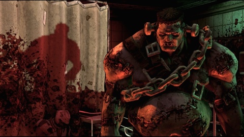 Gra Borderlands Playstation 3 PS3 Używana