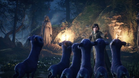 Gra Dziedzictwo Hogwartu Nintendo Switch Używana