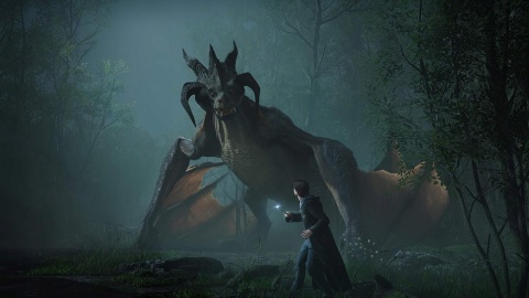 Gra Dziedzictwo Hogwartu PS5 Playstation 5 Używana