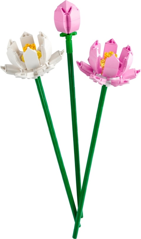 LEGO Botanicals Kwiaty lotosu 40647 LEGO Botanicals Kwiaty lotosu 40647