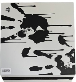 PlayStation 4 Pro Edycja Kolekcjonerska Dead Stranding 1 TB | Używana